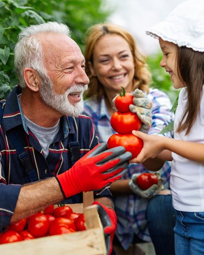 A importância dos idosos | Scada